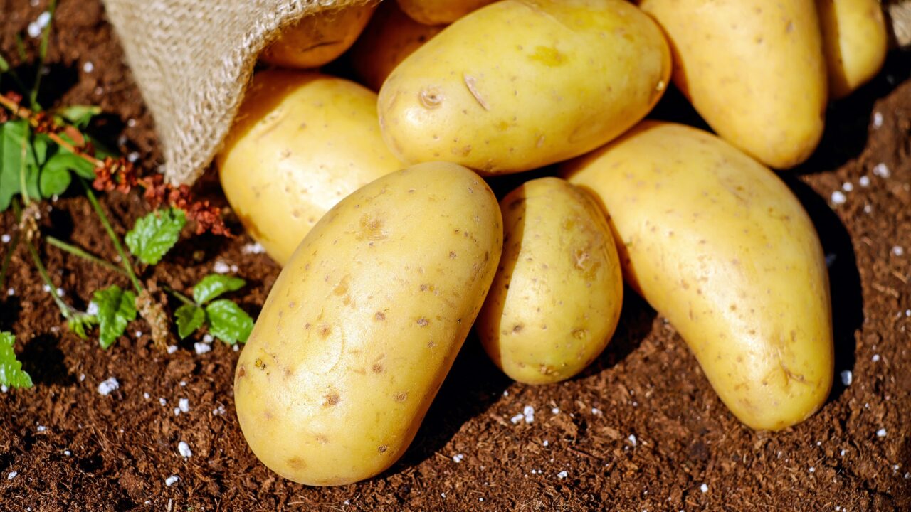 potatoes